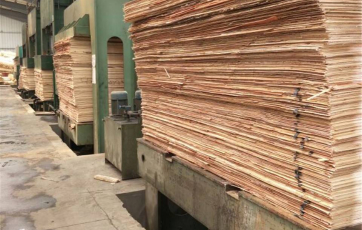 Khám phá công ty sản xuất ván ép phủ phim